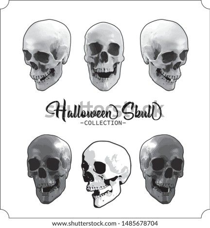 Halloween skull vector collection for perfect illustration 