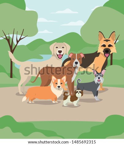 group of dogs pets in the camp characters