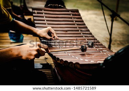 The image of the musician's hand Playing Thai xylophone.