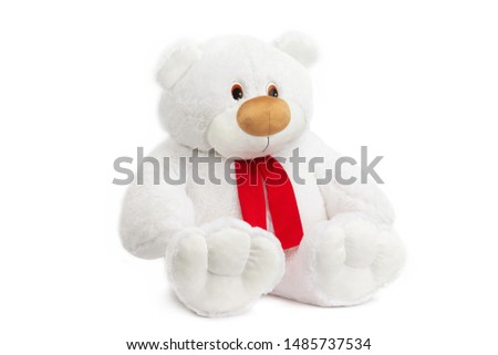 Image of white toy teddy bear sitting at isolated white background.