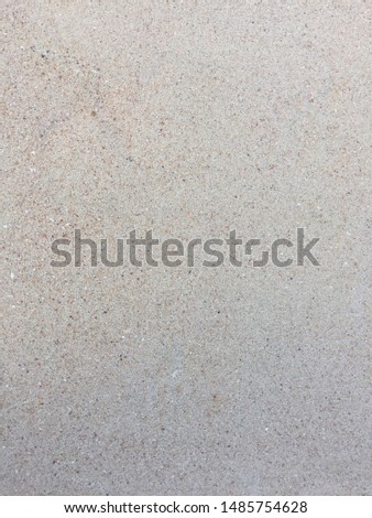 beach sand background. Wall texture