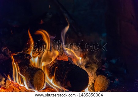 bright fire in the fireplace, in the foreground burned firewood