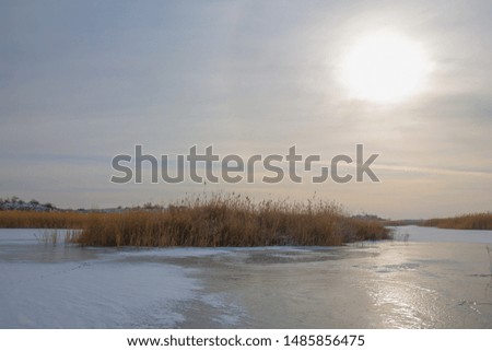 Reeds on a frozen lake, the steppe. the river Ili Kazakhstan. Kapchagai Bakanas