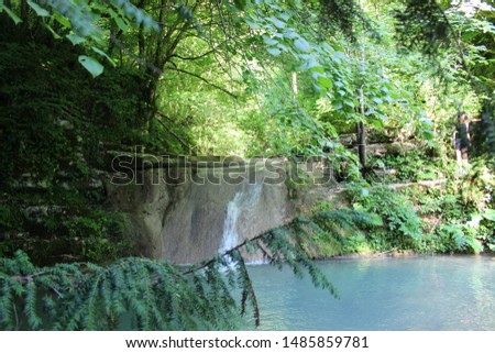 Blue waterfall in green trees. puddle. sun and nature.