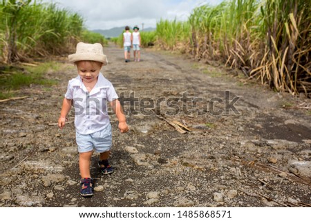Happy people, children, running in sugarcane field on Mauritius island, kids enjoying the sugarcane fields, covering most of the island
