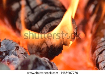 Hot coals in the stove. Red burned by heating the particles tree.