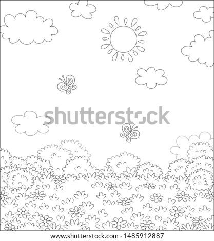 Butterflies flying over a field with wildflowers on a pretty summer day, black and white vector illustration in a cartoon style for a coloring book