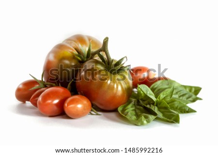 Two Red Round Tomatoes and a Few Cluster Ones with a Sprig of Basil Lying on a White Background