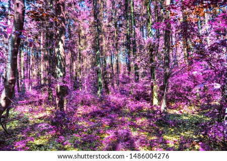 Beautiful infrared shots of pink and purple forest landscapes
