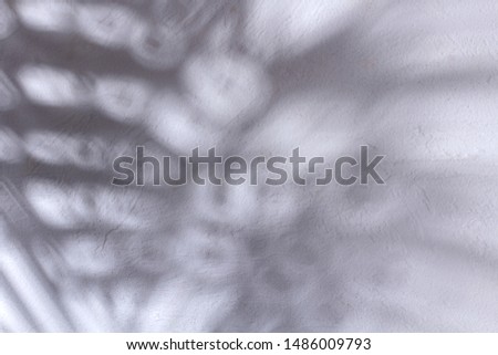 Abstract background of shadows branch leaves on wall. Shadows overlay effect. Copy space. Mockup