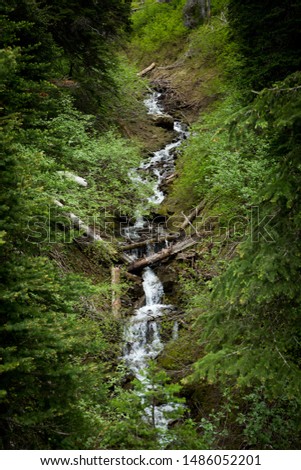 bubbling waterfall in Glacier National Park