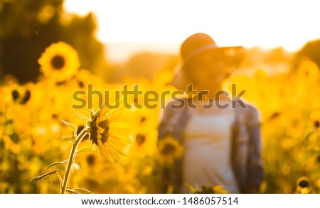 Young beautiful girl on a sunflower field at sunset. Beautiful photo on the screen saver
