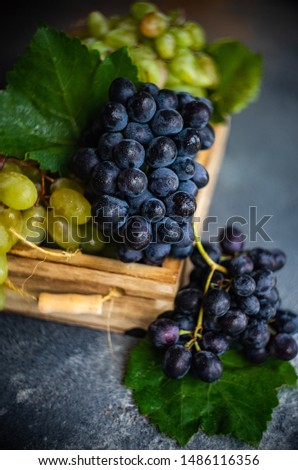 Organic food concept with variety of ripe grape on stone background with copy space