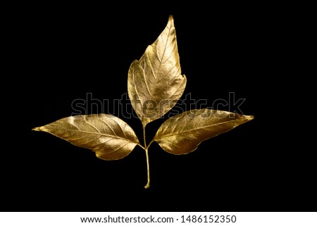 autumn composition of different Golden leaves and letters on a black background