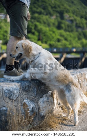 Young Man Playing With His Dog In Nature
