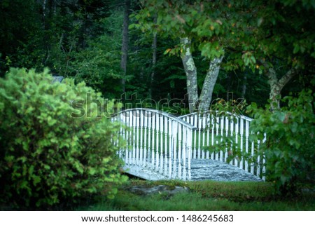 Small Footbridge In Eastern Maine