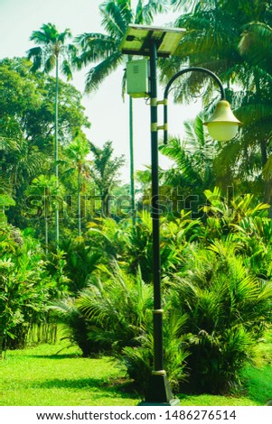 street lamp with solar panel energy on tropical green forest in indonesia - photo Royalty-Free Stock Photo #1486276514