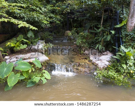 Waterfall and river in the green forest.