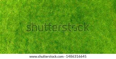 Green artificial grass flooring on the floor