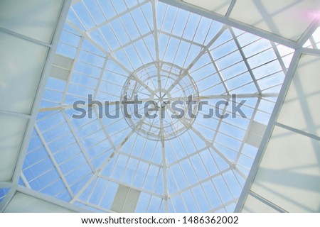 Glass ceiling of an aquarium in Tokyo