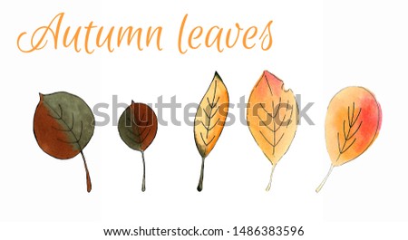 Set of autumn leaves. Markers illustration