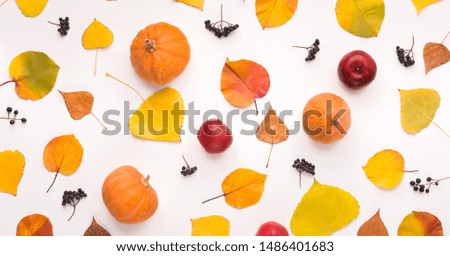 Autumn background with fallen leaves, pumpkin and red apples on white background, panorama
