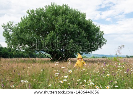 little boy in a yellow gnome costume under a large green tree in a field