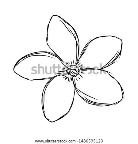 abstract cute flower on a white background