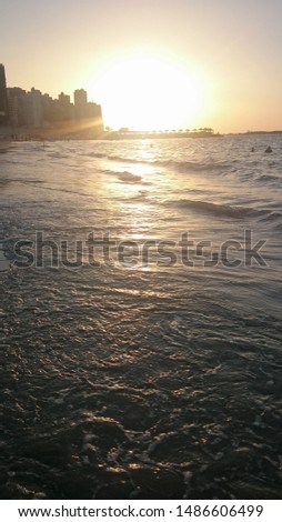 Miami beach Alexandria Egypt skyline 