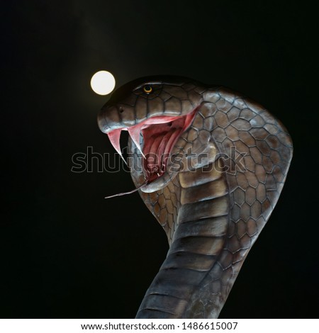 Cobra snake head in dark mid night sky