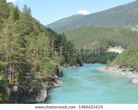 A wonderful picture of the river and the forest
