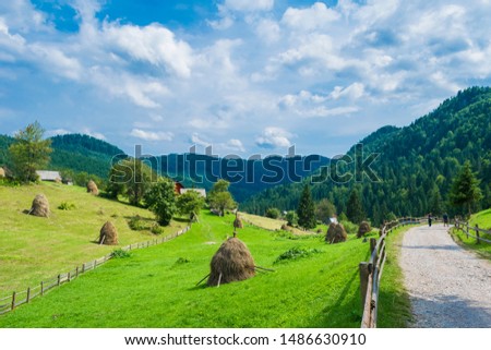 Green summer landscape in Apuseni mountains, Romania Royalty-Free Stock Photo #1486630910