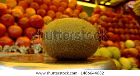 kiwis fruit close up picture at shop stock photo 