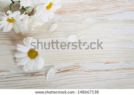 A bouquet of white daisies, wildflowers