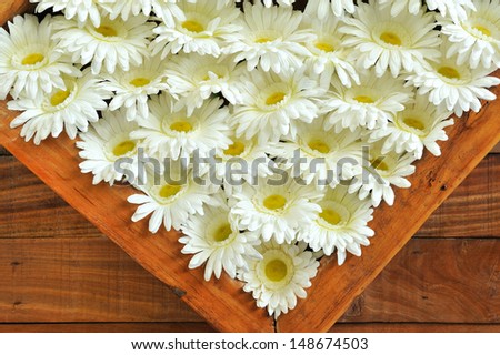 silk gerbera daisies  with frame on wooden wall
