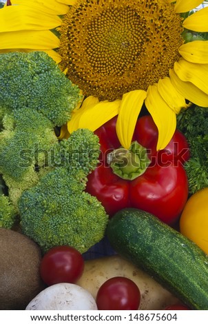 The group of fruits and vegetables closeup view