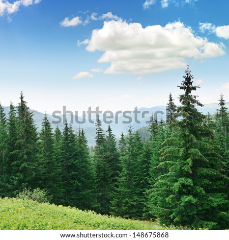 Beautiful pine trees on background high mountains. Carpathians                               Royalty-Free Stock Photo #148675868