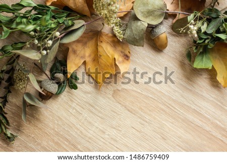 frame with fall leaves. autumn background