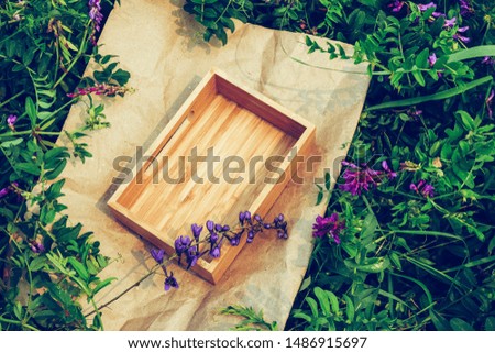 Background plants, frame kraft paper and box of wood. Concept natural cosmetics