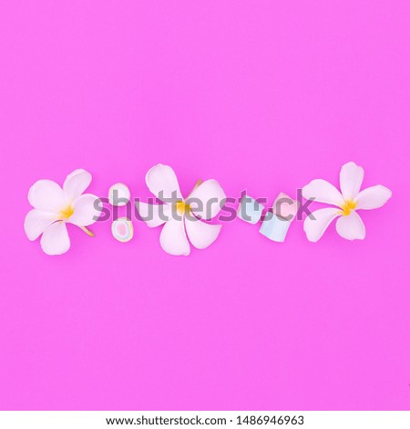 Tropical white flower on pink background. Plants on pink concept