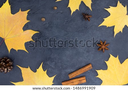 Frame from autumn leaves, spices, pine cone on gray concrete background. Recipe, card concept. Top view, flat lay, copy space
