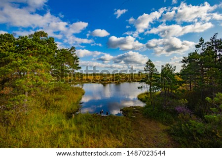 wetland swamp field tourism || Natural small acidic lake || Lithuanian nature