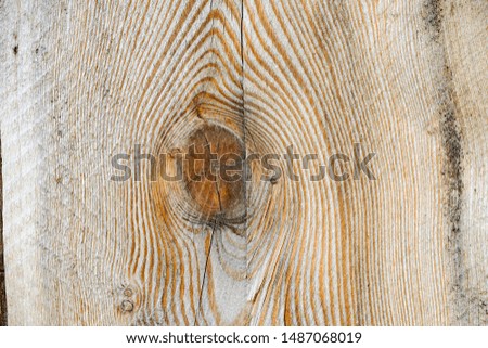 natural yellow orange brown annual rings on a tree cut, macro, close, background, texture wallpaper                               