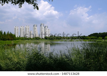 Beautiful scenery picture of Ansan Lake Park in Gyeonggi-do, Korea