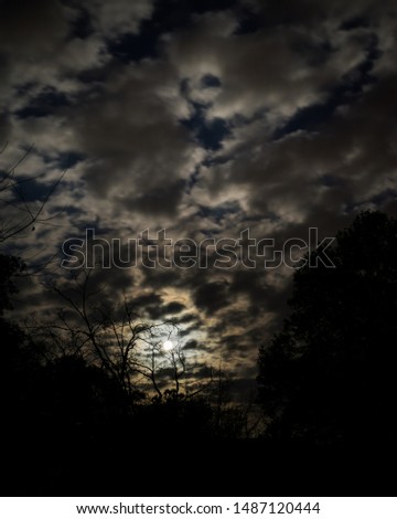 Spooky Halloween winter type full moon shining in through clouds and bare dead trees and dark woods, vertical composition image