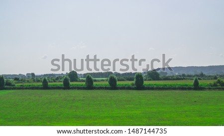 A row of trees in the foreground of a Dutch meadow polder landscape with a corn field in the background