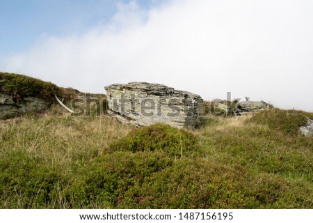 Keprnik, Jeseniky mountains, Czech republic / Czechia - rock and stone on the top of the hill. Royalty-Free Stock Photo #1487156195