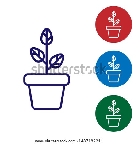 Blue Flowers in pot icon isolated on white background. Plant growing in a pot. Potted plant sign. Set color icon in circle buttons. Vector Illustration