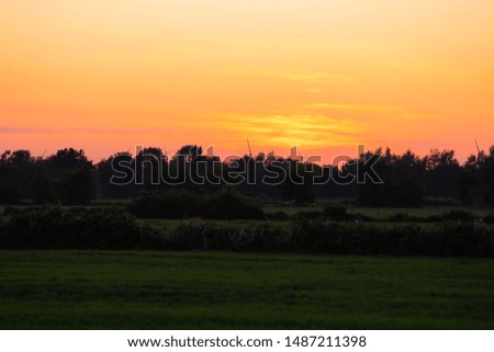 A threatening  sunset behind some trees at a field