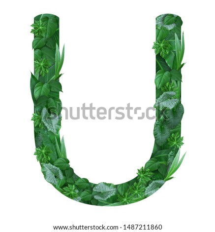 Natural font Alphabet U created from the use of leaves in nature to create art.Font created by creativity